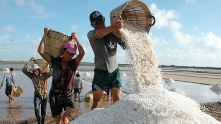 Firms show distaste for local salt