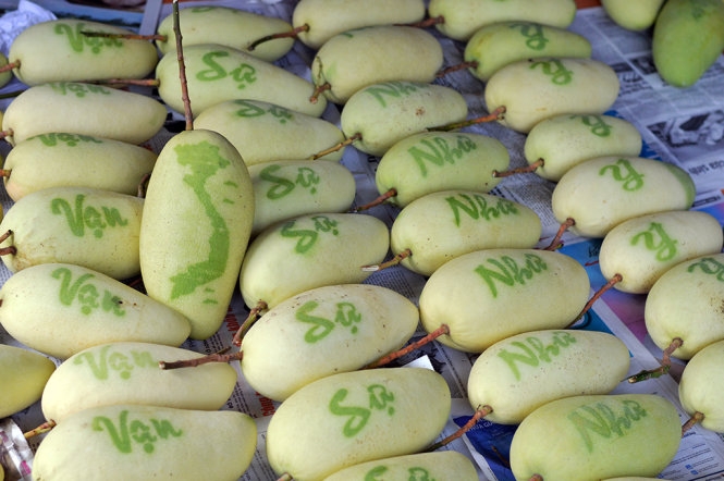 Mango carving for Tet in Vietnam’s southern province