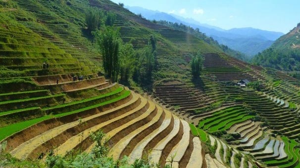 10 Reasons to Go Trekking in Sapa: TripZilla