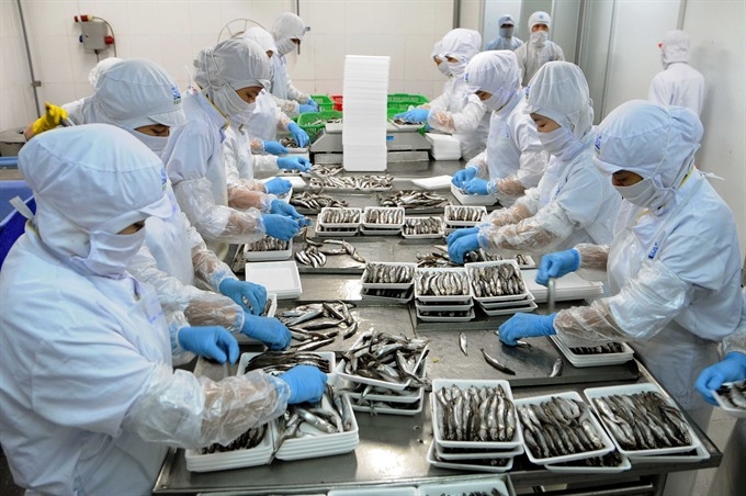 Vietnam growth deficient in quality