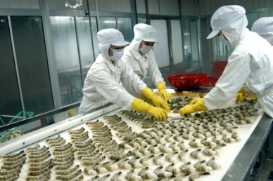 New project targets competitive seafood sector