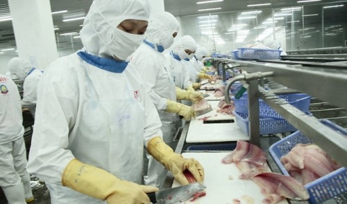 EU issues alert on unsafe Vietnamese seafood exports