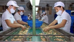 Vietnam-Czech Republic traditional friendship shines