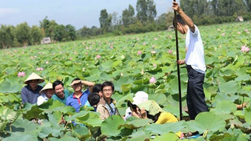 Branding Dong Thap tourism