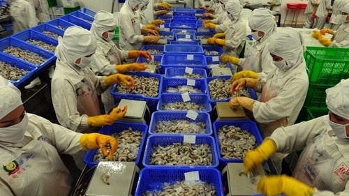 More efforts urged to reorganise shrimp industry