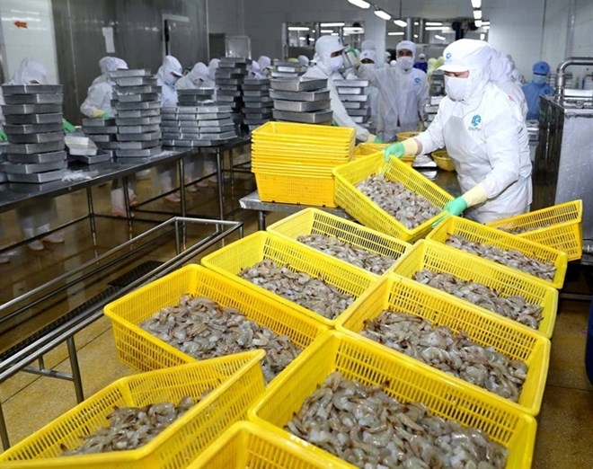 Vietnam’s shrimp industry to become key economic sector