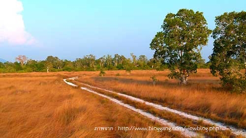 Ko Phra Thong in Phang-nga: A Popular Tourist Site among Eco-Tourists