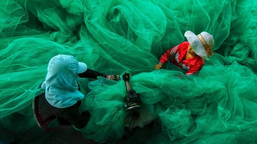 Vietnamese photographer nets grand prize from Smithsonian contest