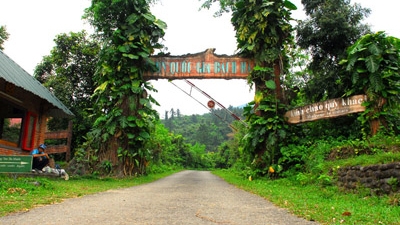 Attempts made to conserve Bach Ma Park’s biodiversity