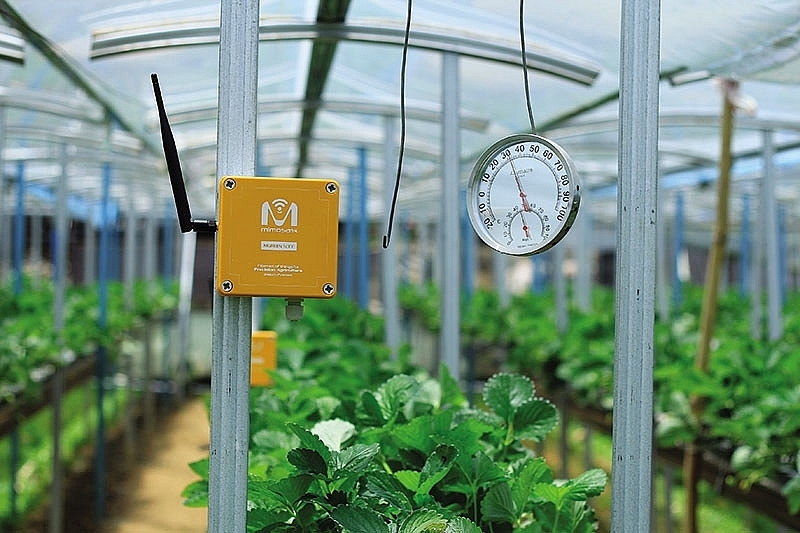 Startups seek to change game in smart agritech