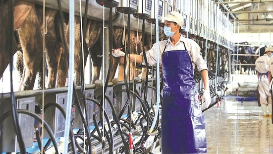Gov't urges firms to transfer assets