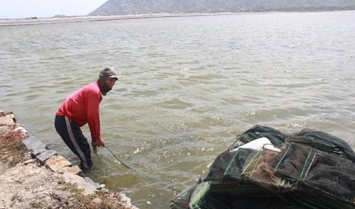 Vietnam should stop investing in steel industry: ex-official