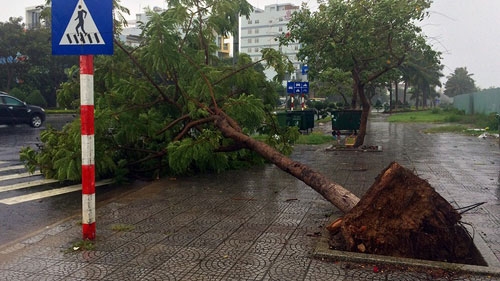 Heavy downpour hits Danang