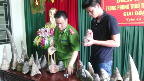 Vietnam police make massive seizure of rhino horns, arrest 2