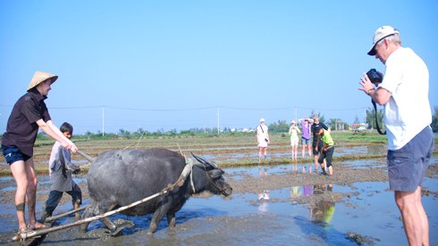 Grass roots tourism