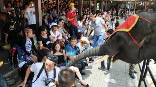 Vietnamese spent US$6 billion on overseas tours last year