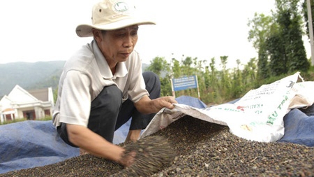 Pepper exports likely to set new record