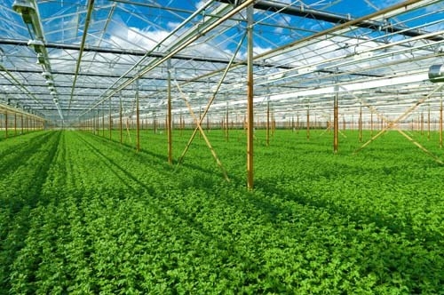 Agriculture revival with private funds