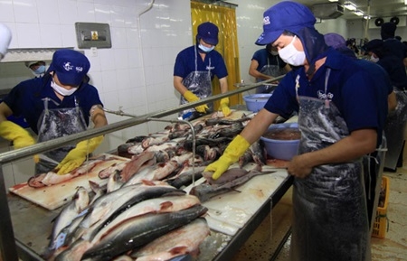 Relaxing tra fish decree faces difficulties
