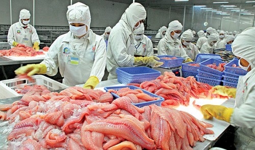 Vietnam concerned about US’s tra fish inspection rule