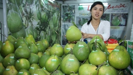 High air transport fees stymie fruit exports