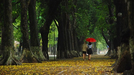 Tree-huggers inspire new documentary