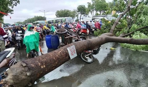 Two hospitalized after trees fall due to fierce squalls