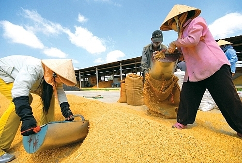 T&T gunning for strategic ownership in Vinafood 2