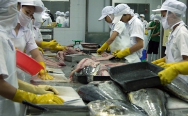 Vietnam tuna exports decline 5.5% year-on-year in Q1