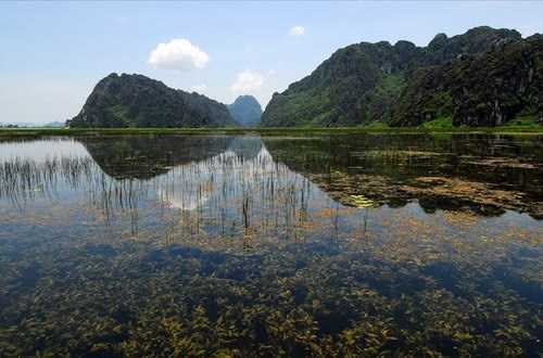 'Kong: Skull Island' casts more than 40 Vietnamese as extras