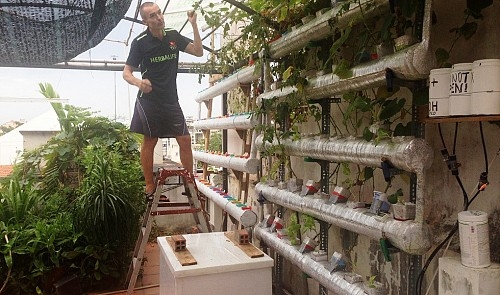 Czech man builds veggie garden on HCM City rooftop