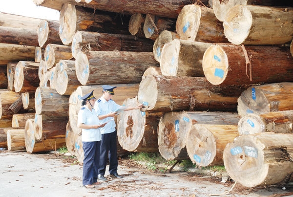 Vietnam warned of risks in importing timber from Africa