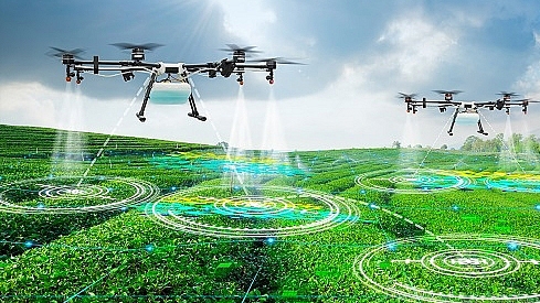 Vietnamese agriculture 4.0 harbours great potential