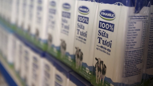 Facing TPP dairy deluge, Vietnam milk firms shift strategy to survive