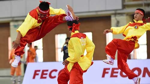 Images of first int’l Vietnamese martial art event