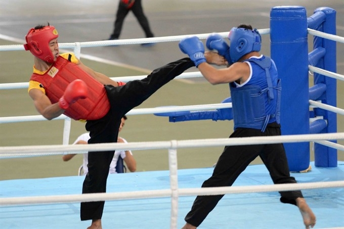 Martial artists to perform in Nghe An