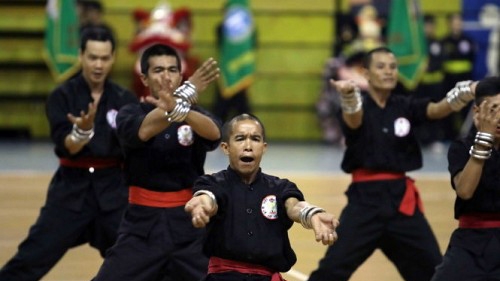 Foreign practitioners retell their stories of Vietnamese Martial Arts
