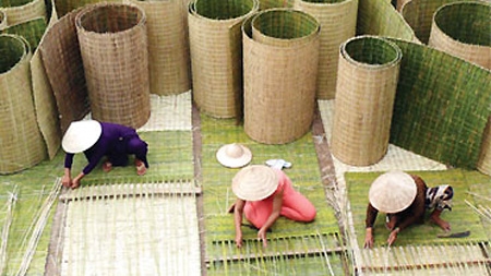 HCM City strives to improve vocational training