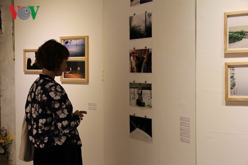 “Fall & Release” photo exhibition gets underway in Hanoi