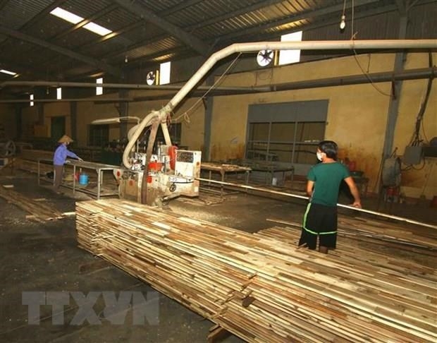 Wood processing firms should embrace technologies: experts