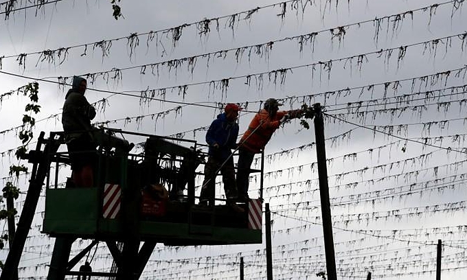 Czech Republic resumes work visas for Vietnamese citizens