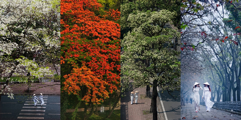 Photo exhibition features little corners in Hanoi