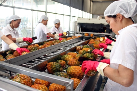 Vietnamese fruit need export support