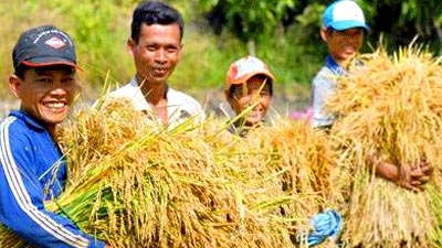 Poverty reduction in urban areas needs due attention
