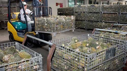 Produce exports expected to top US$2 bln in 2015