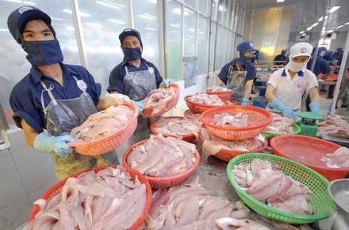 Vietnam records a sharp rise in new export orders