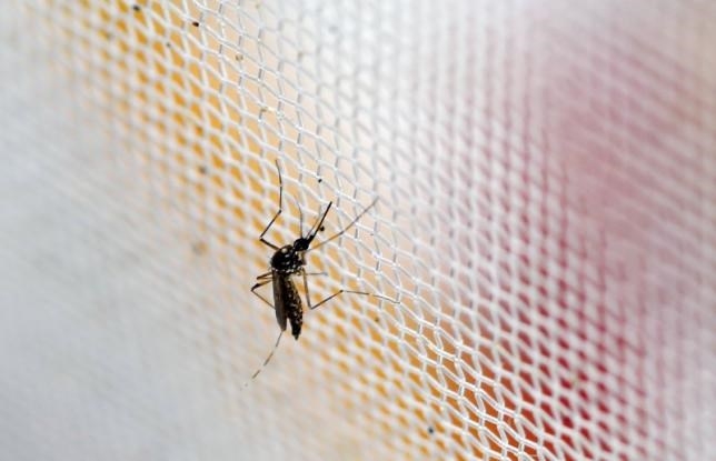 Korean diagnosed with Zika after coming back from Vietnam