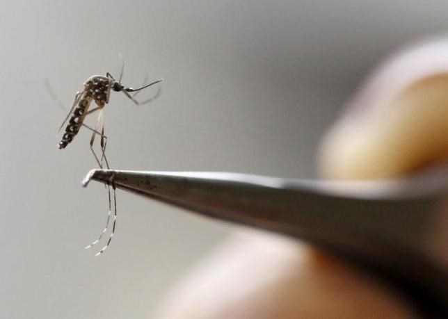 New range of serious fetal abnormalities linked to Zika: study