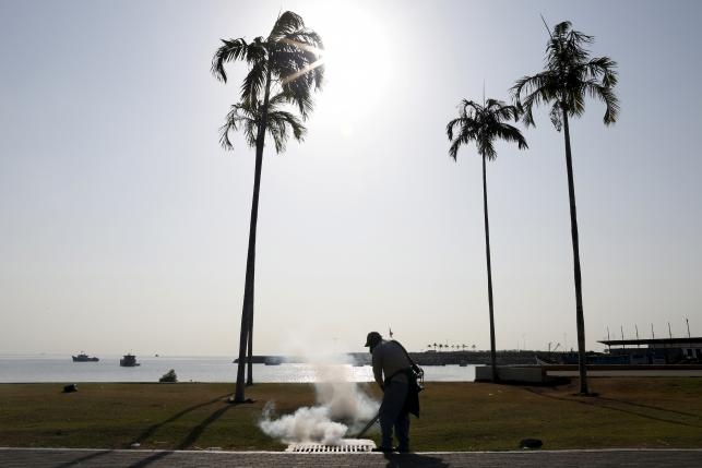 Zika alarm rises after US sex link, more Brazil birth defects