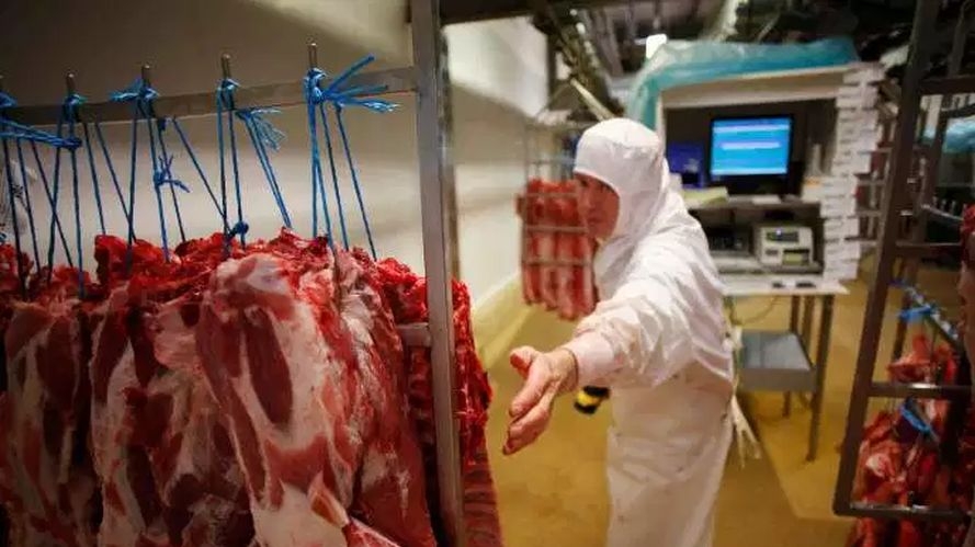 Pháp lo ngại các lò mổ gia súc có thể trở thành ổ dịch Covid-19 lớn